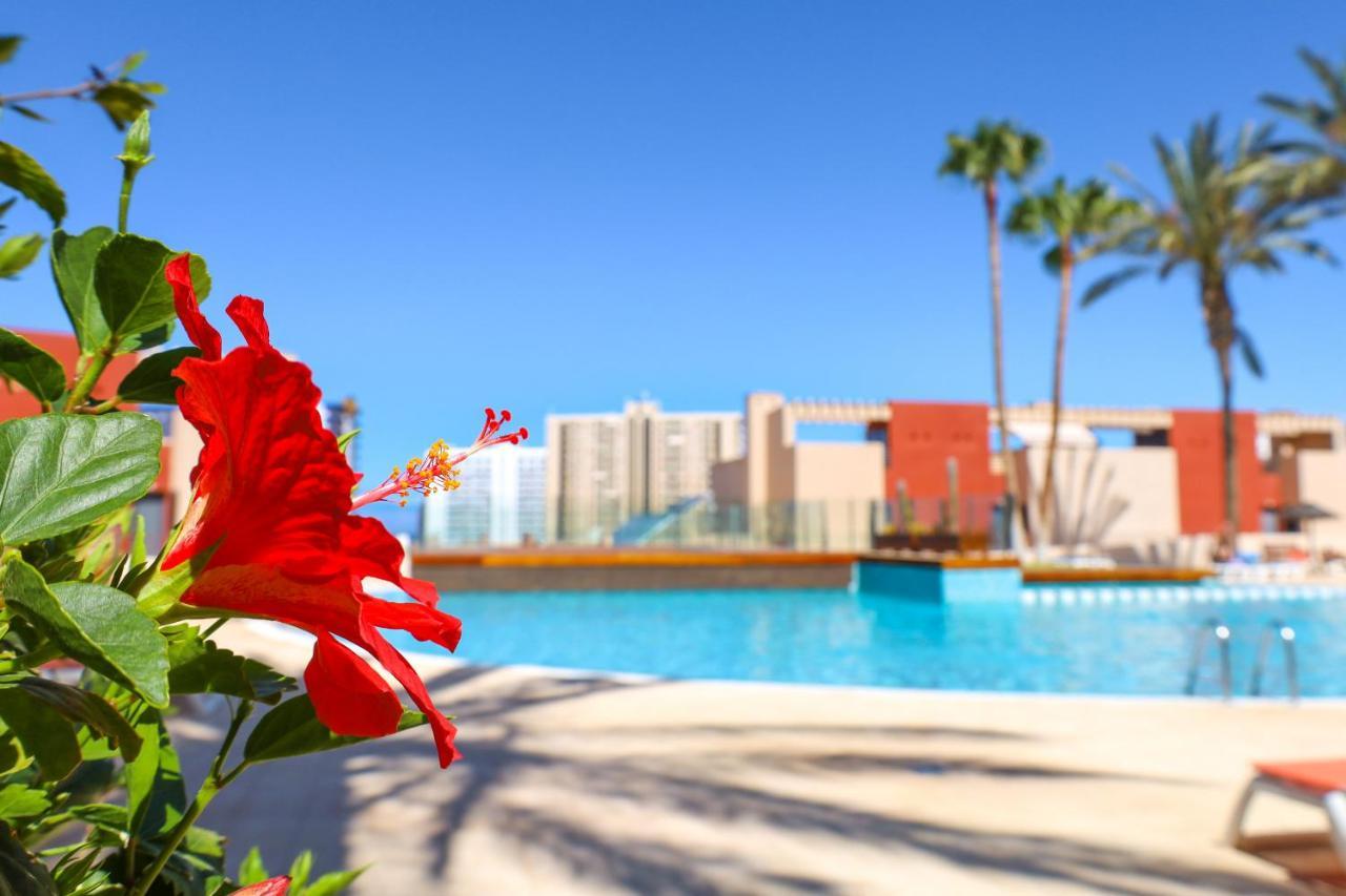 Gorgeous Paraiso Free Wifi Playa Paraiso  Exterior foto